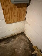 This basement had no way of preventing water from getting in. Signs of damage included standing water, water stains and mold.