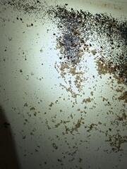 Worst We've Seen All Year