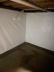 CleanSpace