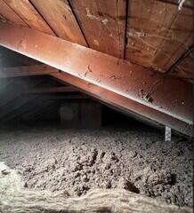 TruSoft Cellulose Installed