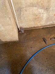 Wet Cellar in Greenfield, OH