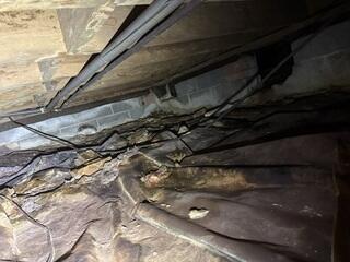 Nasty Crawl Space