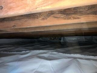 The moisture barrier keeps water out of the cralwspace.