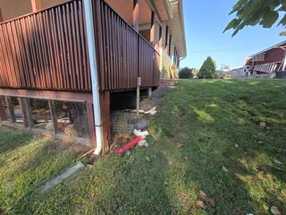 After cleaning up the mess they made, we began to exclude the area to prevent any future intrusions from the foxes.
