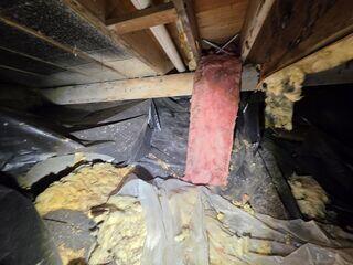Gross Crawl Space