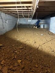 Crawl Space Cleanup