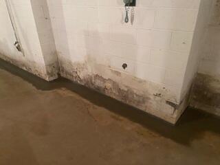 WaterGuard Drainage System