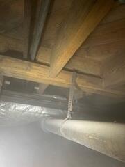 The completed cleanup shows a refreshed and healthy crawl space, free of mold and moisture.