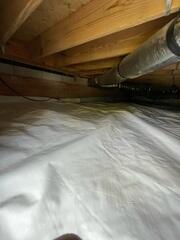 CleanSpace Liner