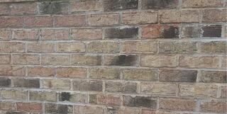 Cracked Foundation