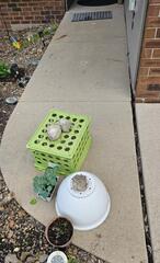 Iowa City Concrete Leveling