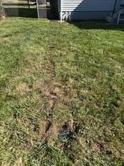 Buried Discharge Line