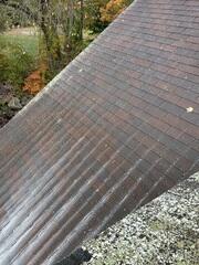 Roof Cleaning