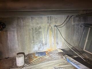 Efflorescence on the Walls