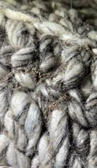 Yup,  that's itsy bitsy baby moths feasting on this wool rug!