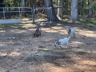 Some spectators watching the gutter installation