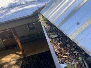 More clogged gutters
