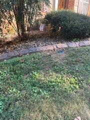 IceGuard and LawnScape System Installed