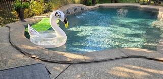 Pool Concreate Repair in Wildwood, MO