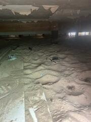 Damp Crawl Space