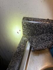 Can No Longer Reproduce