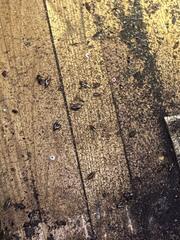 Schedule Our Follow Up Visits