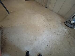 As you can see, they were all over the basement!