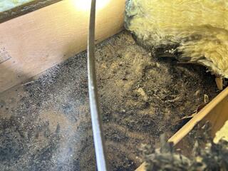 Remove the Nest & Clean Up