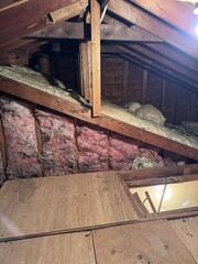 Bait Stations for Mice