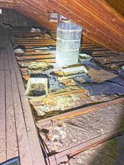 Come Back Again & Again