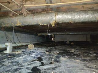 Crawl Space During Inspection