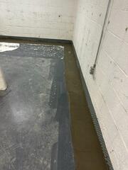 WaterGuard System
