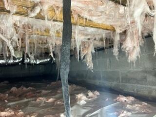 Crawl Space During Inspection
