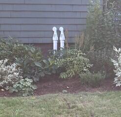 IceGuard Discharge Line System