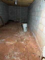 Before Sealing Crawl Space