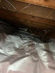 Crawlspace Encapsulation - Story City, IA