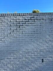 Repairing Wall Cracks