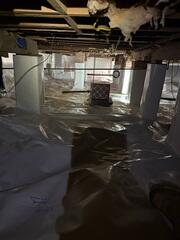 SaniDry™ Dehumidifier