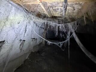 Cobwebs Are a Sign of Critters