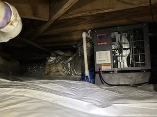 Dehumidifier