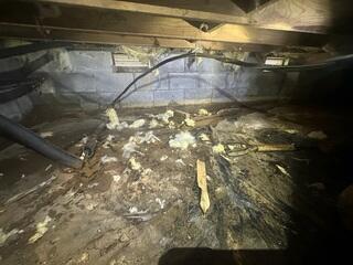 Crawl Space During Inspection