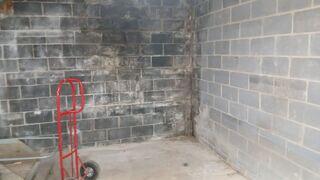 This Boone, NC basement shows early symptoms of water damage and high humidity. The dark staining and efflorescence on the block walls indicate that moisture has been seeping through the porous concrete over time. Without proper drainage or vapor protection, the walls have absorbed water from the surrounding soil, leading to mold growth and a musty odor.