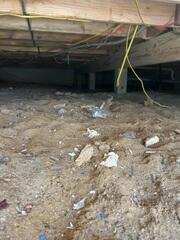 Crawl Space Moisture