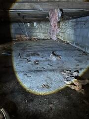 Crawl Space Insulation in Salem, NJ