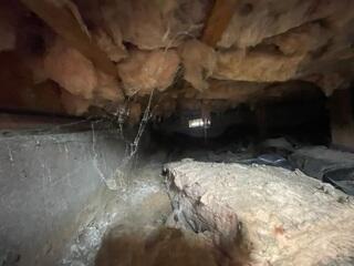 Fallen fiberglass and signs of pests are one of the most common things to see in a neglected crawl space.