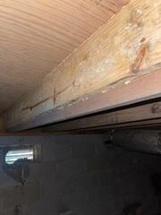 Moldy Joists