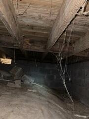 Wet Crawl Space Wood