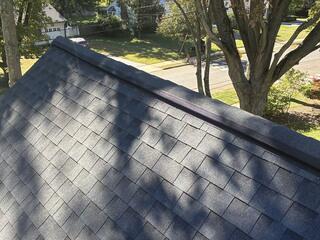 The bats were able to infest the home by squeezing through the ridge vents and the attic fans. In order to properly exclude the ridge vents, we installed Ridge-Guard®.