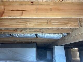 After Mold Remediation