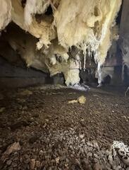 Crawl Space Before Encapsulation